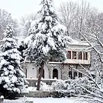 Villa Zenios Dionysos - Traditional Grevena