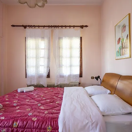 Zenios Dionysos - Traditional 别墅 *