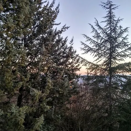 别墅 Zenios Dionysos - Traditional