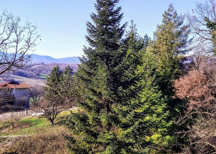 Zenios Dionysos - Traditional 别墅 格雷韦纳