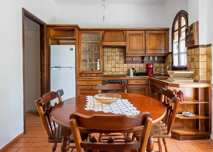 Zenios Dionysos - Traditional * 格雷韦纳