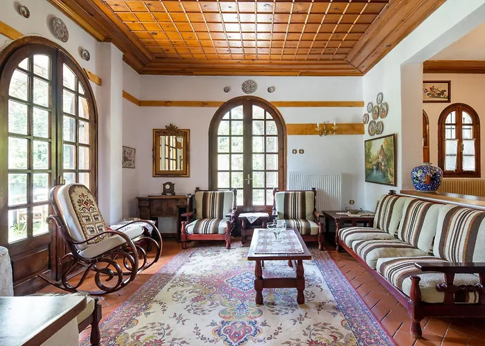 Zenios Dionysos - Traditional * 格雷韦纳