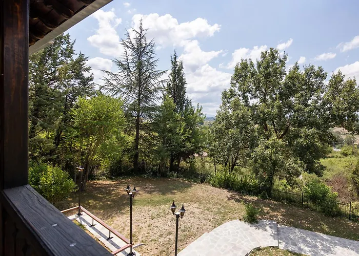 Zenios Dionysos - Traditional 格雷韦纳