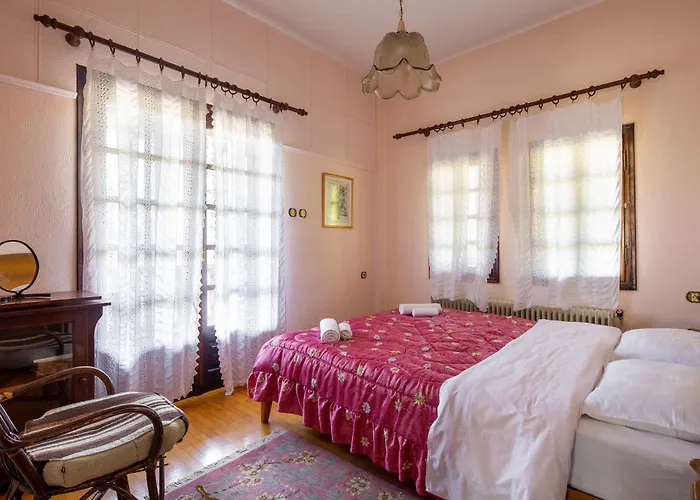 Zenios Dionysos - Traditional 别墅 *