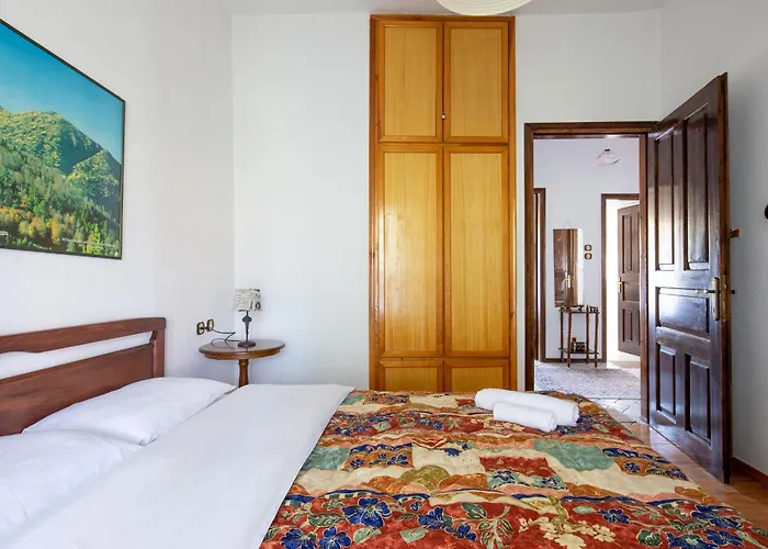 Zenios Dionysos - Traditional *