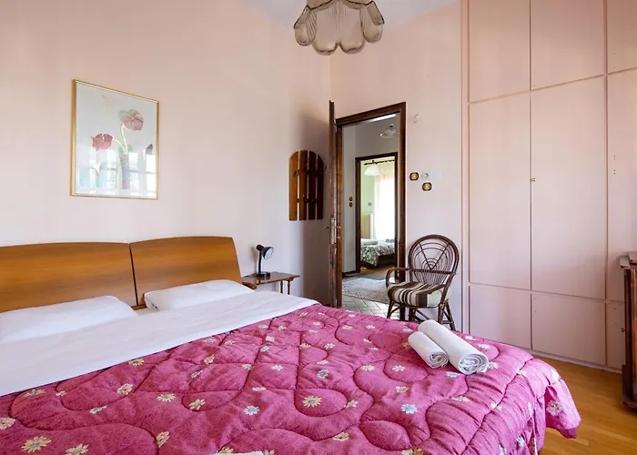 Zenios Dionysos - Traditional *