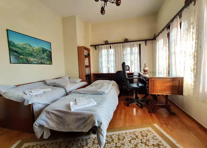 Zenios Dionysos - Traditional 格雷韦纳