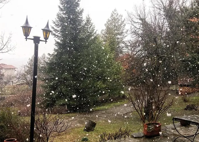 别墅 Zenios Dionysos - Traditional 格雷韦纳