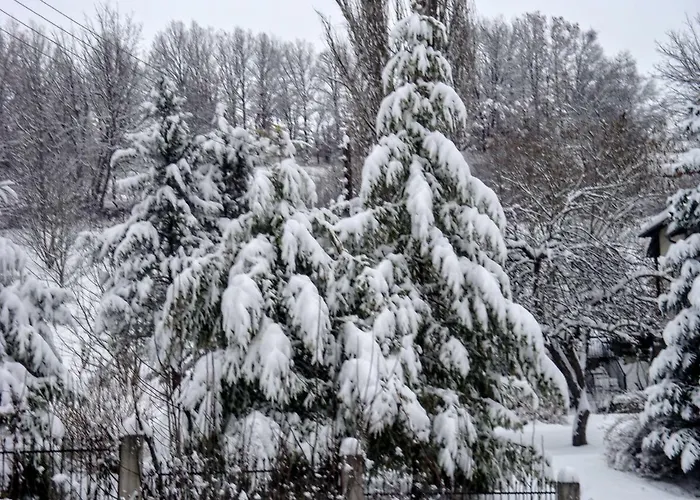 别墅 Zenios Dionysos - Traditional