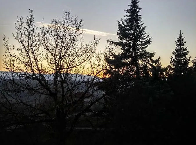 Zenios Dionysos - Traditional 格雷韦纳