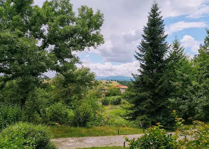 Zenios Dionysos - Traditional