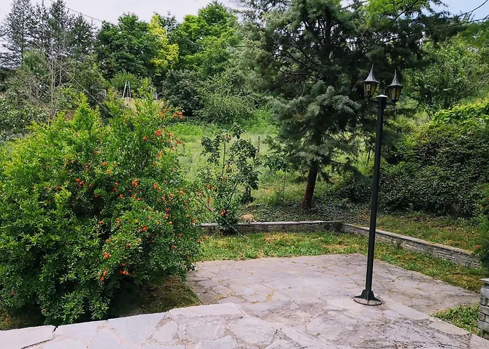 Zenios Dionysos - Traditional 别墅